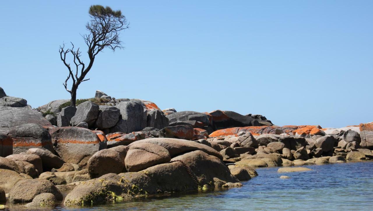 Bay Of Fires Seachange Ocean Frontage Binalong Bay Екстериор снимка